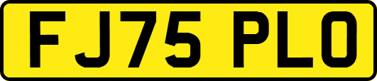 FJ75PLO