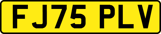 FJ75PLV