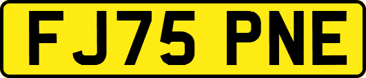 FJ75PNE