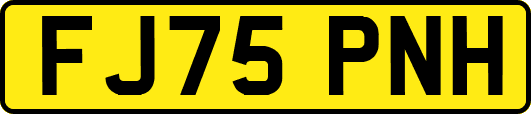 FJ75PNH