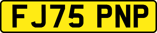 FJ75PNP