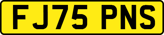 FJ75PNS
