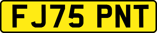 FJ75PNT