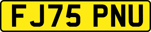 FJ75PNU