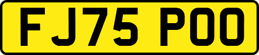 FJ75POO