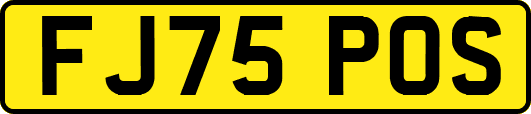 FJ75POS
