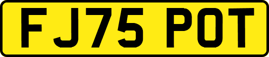 FJ75POT