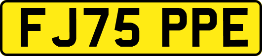 FJ75PPE