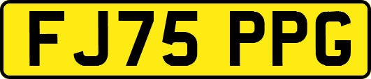 FJ75PPG