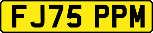 FJ75PPM