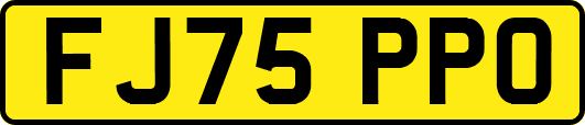 FJ75PPO