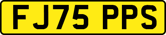 FJ75PPS