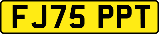 FJ75PPT