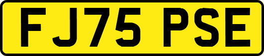FJ75PSE