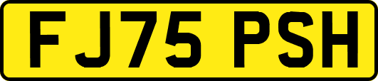 FJ75PSH