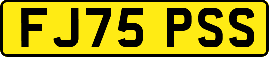 FJ75PSS