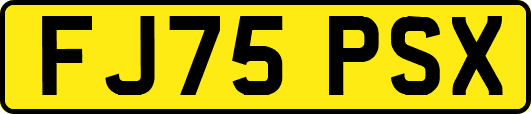 FJ75PSX