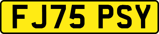 FJ75PSY