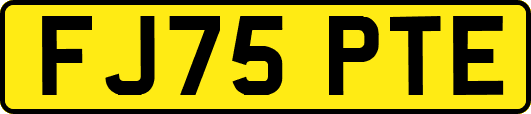 FJ75PTE