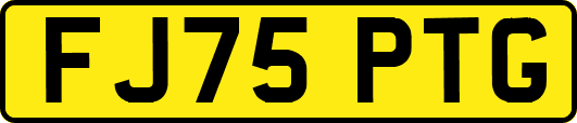 FJ75PTG
