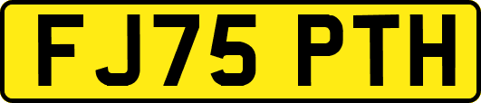 FJ75PTH