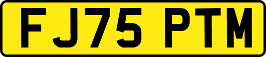 FJ75PTM