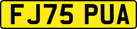 FJ75PUA