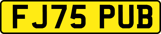FJ75PUB
