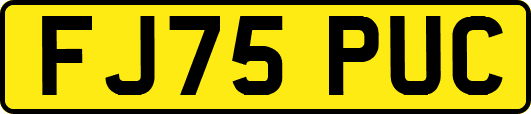 FJ75PUC