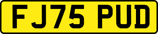 FJ75PUD