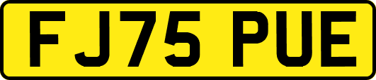FJ75PUE