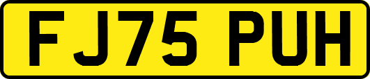 FJ75PUH