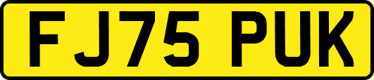 FJ75PUK