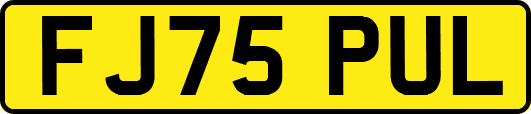 FJ75PUL