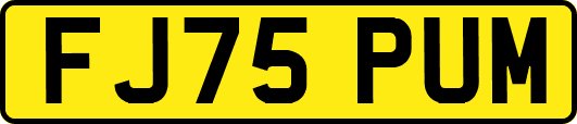 FJ75PUM