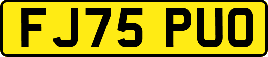 FJ75PUO