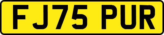 FJ75PUR