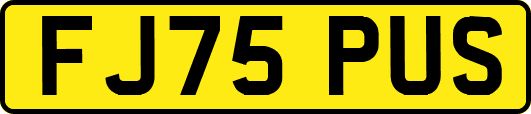 FJ75PUS