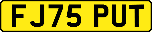 FJ75PUT