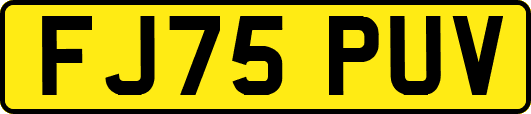 FJ75PUV