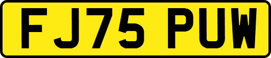 FJ75PUW