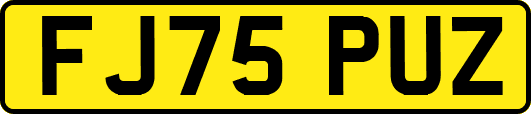 FJ75PUZ