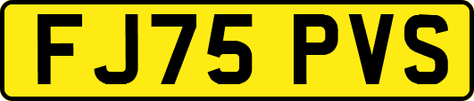 FJ75PVS