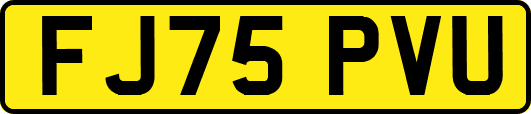 FJ75PVU