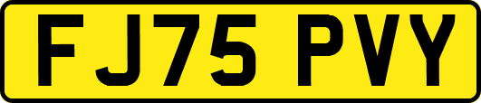 FJ75PVY