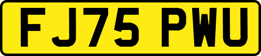 FJ75PWU