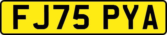 FJ75PYA