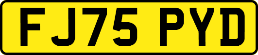 FJ75PYD
