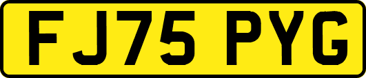 FJ75PYG