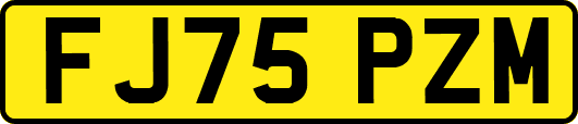 FJ75PZM